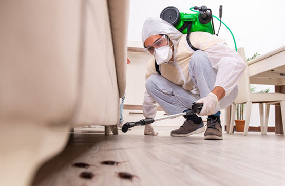 PEST CONTROL SERVICES